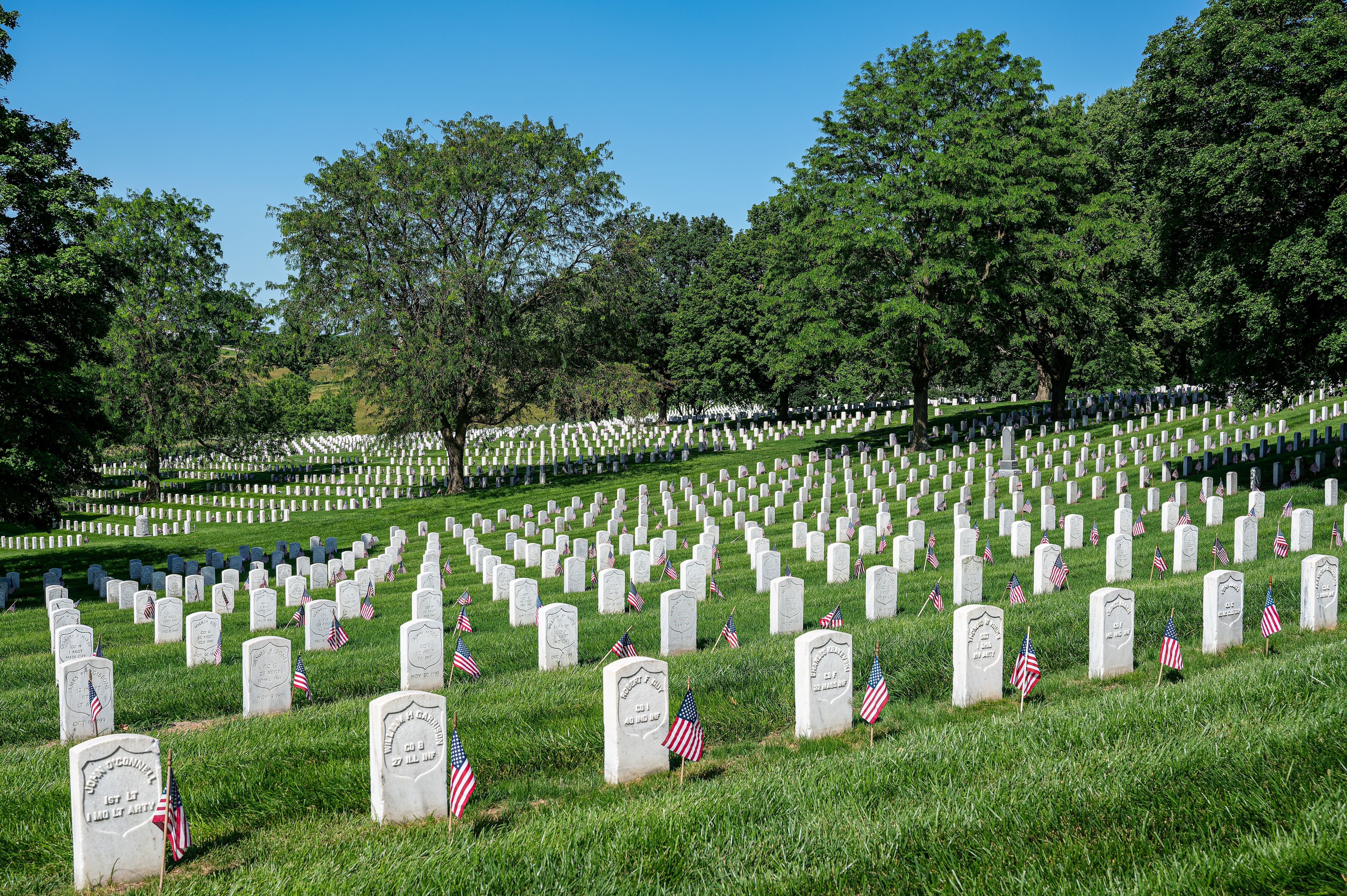 Arlington National Cemetery with cherry blossoms